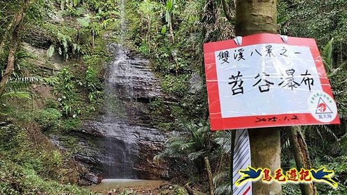 雙溪雙泰公路舊道-百二階古道-苕谷瀑布-逸仙山(蝙蝠山)O形 (19).jpg