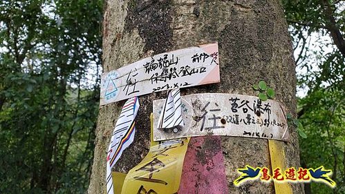 雙溪雙泰公路舊道-百二階古道-苕谷瀑布-逸仙山(蝙蝠山)O形 (24).jpg