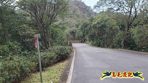 雙溪雙泰公路舊道-百二階古道-苕谷瀑布-逸仙山(蝙蝠山)O形 (25).jpg