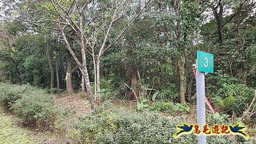 雙溪雙泰公路舊道-百二階古道-苕谷瀑布-逸仙山(蝙蝠山)O形 (26).jpg