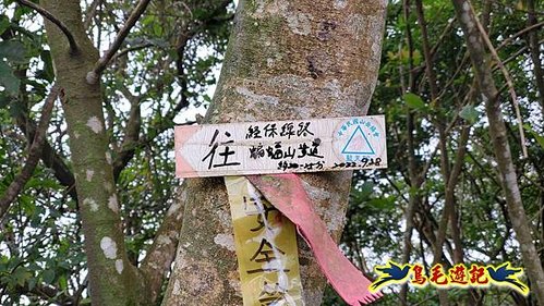 雙溪雙泰公路舊道-百二階古道-苕谷瀑布-逸仙山(蝙蝠山)O形 (29).jpg