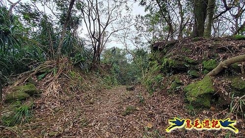 雙溪雙泰公路舊道-百二階古道-苕谷瀑布-逸仙山(蝙蝠山)O形 (34).jpg