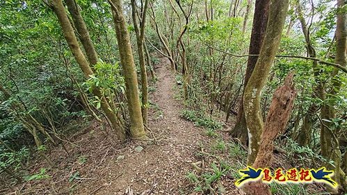 雙溪雙泰公路舊道-百二階古道-苕谷瀑布-逸仙山(蝙蝠山)O形 (37).jpg
