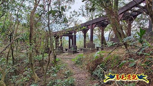 雙溪雙泰公路舊道-百二階古道-苕谷瀑布-逸仙山(蝙蝠山)O形 (39).jpg