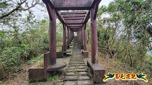 雙溪雙泰公路舊道-百二階古道-苕谷瀑布-逸仙山(蝙蝠山)O形 (41).jpg