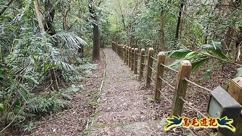 雙溪雙泰公路舊道-百二階古道-苕谷瀑布-逸仙山(蝙蝠山)O形 (47).jpg