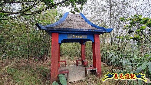 雙溪雙泰公路舊道-百二階古道-苕谷瀑布-逸仙山(蝙蝠山)O形 (48).jpg