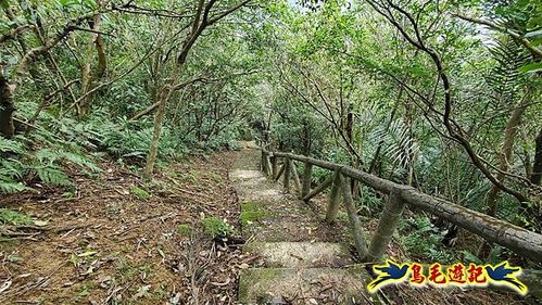 雙溪雙泰公路舊道-百二階古道-苕谷瀑布-逸仙山(蝙蝠山)O形 (49).jpg