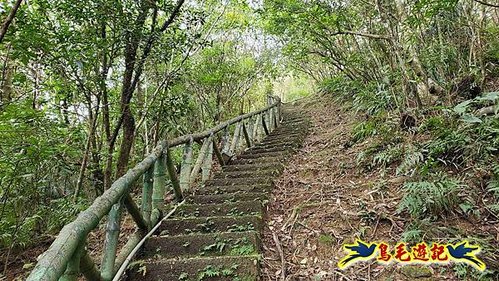 雙溪雙泰公路舊道-百二階古道-苕谷瀑布-逸仙山(蝙蝠山)O形 (50).jpg