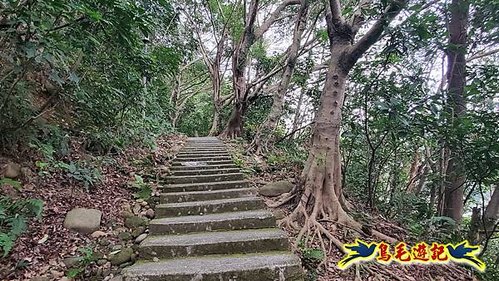 牡丹心步道-牡丹心山-樟腦寮步道O形 (5).jpg