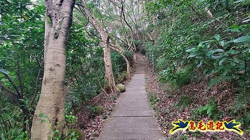 牡丹心步道-牡丹心山-樟腦寮步道O形 (6).jpg
