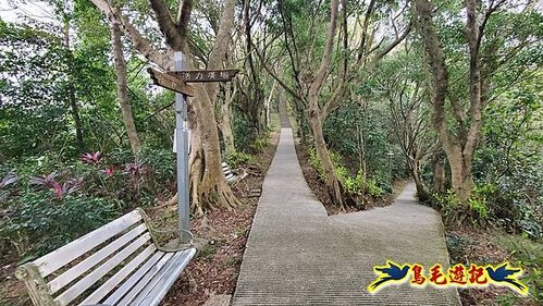 牡丹心步道-牡丹心山-樟腦寮步道O形 (9).jpg