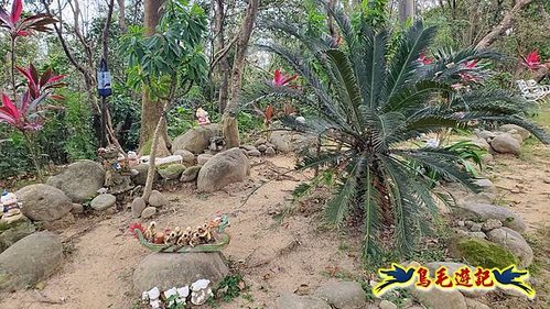 牡丹心步道-牡丹心山-樟腦寮步道O形 (13).jpg