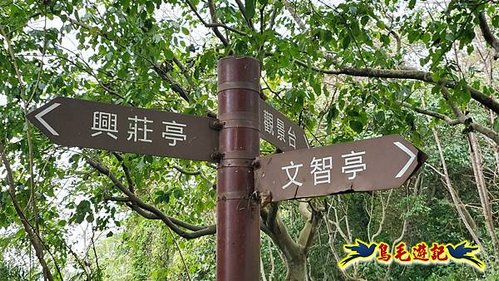 牡丹心步道-牡丹心山-樟腦寮步道O形 (14).jpg