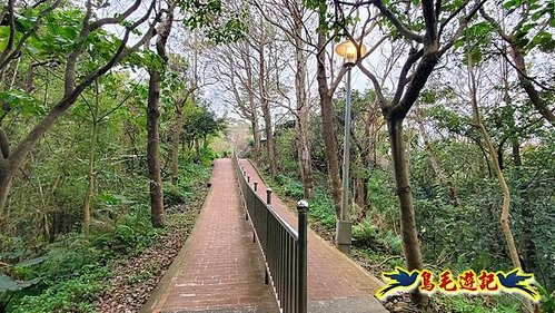 牡丹心步道-牡丹心山-樟腦寮步道O形 (16).jpg