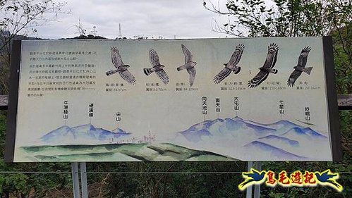 牡丹心步道-牡丹心山-樟腦寮步道O形 (19).jpg