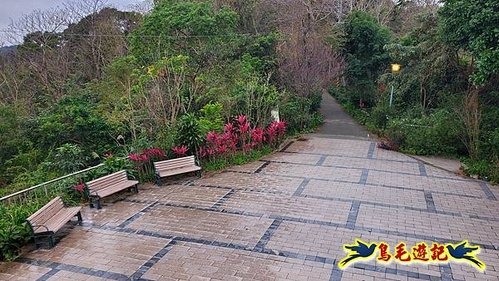 牡丹心步道-牡丹心山-樟腦寮步道O形 (21).jpg
