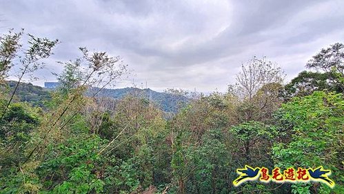 牡丹心步道-牡丹心山-樟腦寮步道O形 (20).jpg