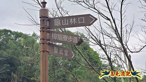 牡丹心步道-牡丹心山-樟腦寮步道O形 (31).jpg