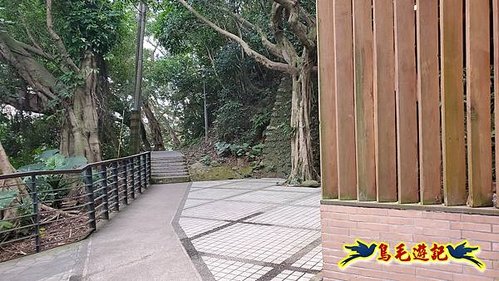 牡丹心步道-牡丹心山-樟腦寮步道O形 (38).jpg