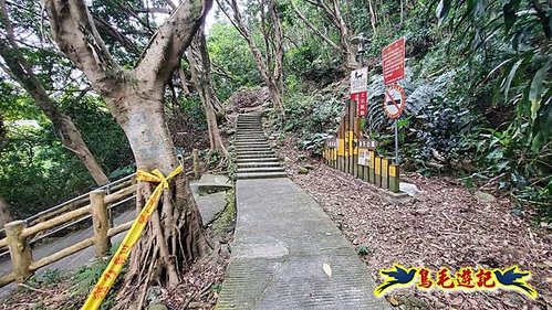 牡丹心步道-牡丹心山-樟腦寮步道O形 (39).jpg