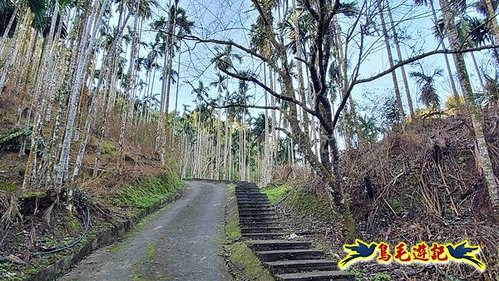 坪林水柳腳步道-烏窟子山-黃櫸皮寮山-𩻸魚堀溪步道O形 (5).jpg