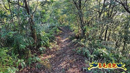 坪林水柳腳步道-烏窟子山-黃櫸皮寮山-𩻸魚堀溪步道O形 (7).jpg