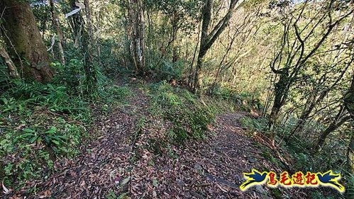 坪林水柳腳步道-烏窟子山-黃櫸皮寮山-𩻸魚堀溪步道O形 (18).jpg