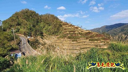 坪林水柳腳步道-烏窟子山-黃櫸皮寮山-𩻸魚堀溪步道O形 (29).jpg