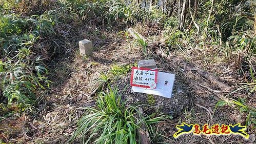 坪林水柳腳步道-烏窟子山-黃櫸皮寮山-𩻸魚堀溪步道O形 (41).jpg