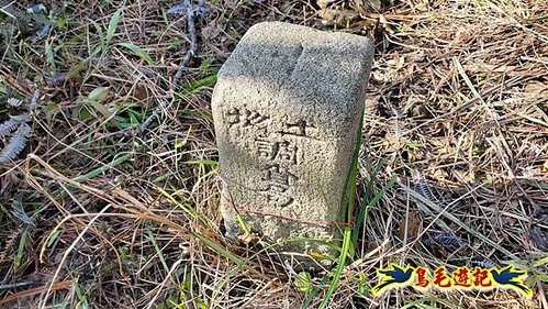 坪林水柳腳步道-烏窟子山-黃櫸皮寮山-𩻸魚堀溪步道O形 (42).jpg