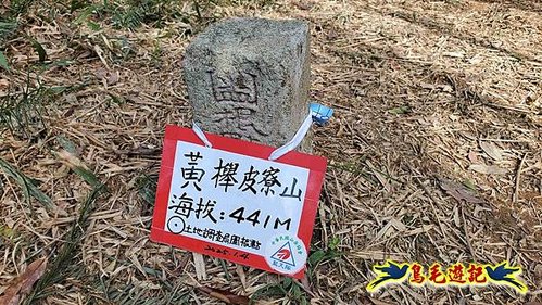 坪林水柳腳步道-烏窟子山-黃櫸皮寮山-𩻸魚堀溪步道O形 (68).jpg