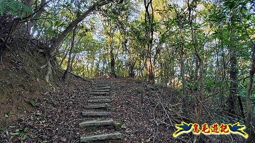 貢寮車站-大嶺古道-大石壁坑山-龍字碑-五酒桶山去回 (18).jpg