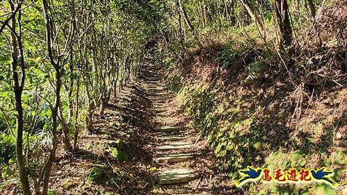 貢寮車站-大嶺古道-大石壁坑山-龍字碑-五酒桶山去回 (15).jpg