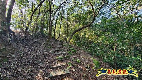 貢寮車站-大嶺古道-大石壁坑山-龍字碑-五酒桶山去回 (17).jpg