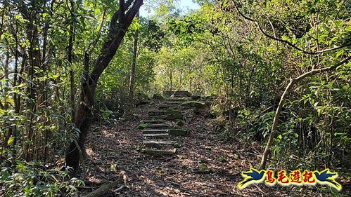 貢寮車站-大嶺古道-大石壁坑山-龍字碑-五酒桶山去回 (19).jpg