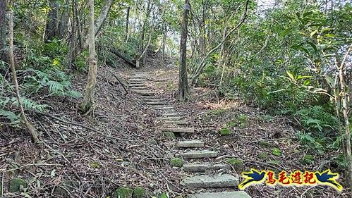 貢寮車站-大嶺古道-大石壁坑山-龍字碑-五酒桶山去回 (23).jpg