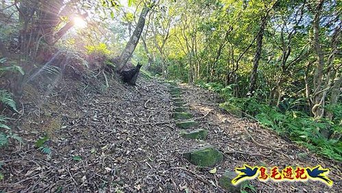 貢寮車站-大嶺古道-大石壁坑山-龍字碑-五酒桶山去回 (24).jpg