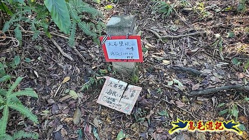 貢寮車站-大嶺古道-大石壁坑山-龍字碑-五酒桶山去回 (26).jpg