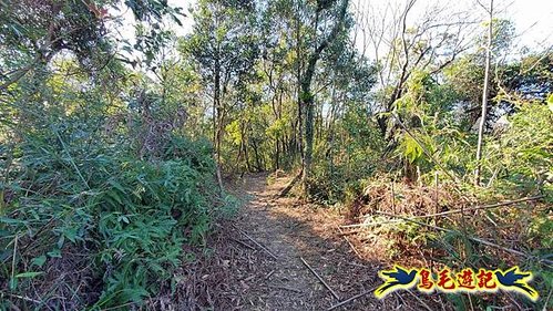 貢寮車站-大嶺古道-大石壁坑山-龍字碑-五酒桶山去回 (27).jpg