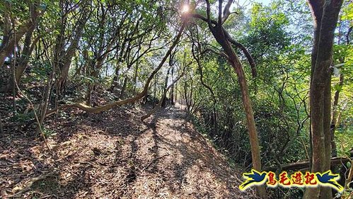 貢寮車站-大嶺古道-大石壁坑山-龍字碑-五酒桶山去回 (28).jpg