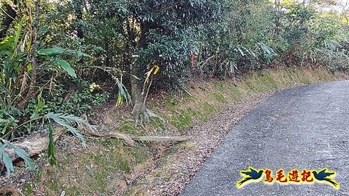 貢寮車站-大嶺古道-大石壁坑山-龍字碑-五酒桶山去回 (38).jpg