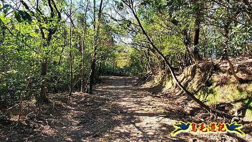 貢寮車站-大嶺古道-大石壁坑山-龍字碑-五酒桶山去回 (36).jpg
