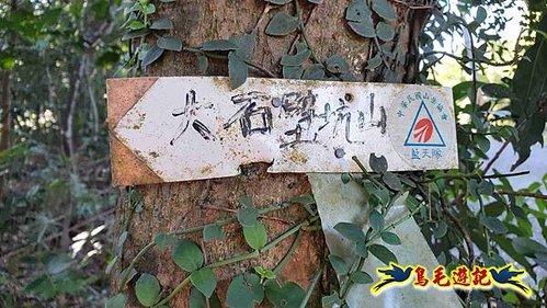 貢寮車站-大嶺古道-大石壁坑山-龍字碑-五酒桶山去回 (39).jpg