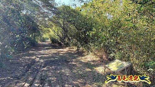 貢寮車站-大嶺古道-大石壁坑山-龍字碑-五酒桶山去回 (49).jpg