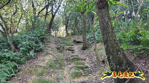 貢寮車站-大嶺古道-大石壁坑山-龍字碑-五酒桶山去回 (53).jpg