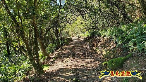 貢寮車站-大嶺古道-大石壁坑山-龍字碑-五酒桶山去回 (57).jpg