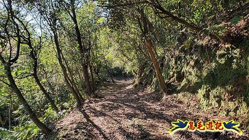 貢寮車站-大嶺古道-大石壁坑山-龍字碑-五酒桶山去回 (54).jpg