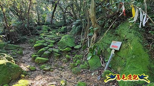 貢寮車站-大嶺古道-大石壁坑山-龍字碑-五酒桶山去回 (52).jpg