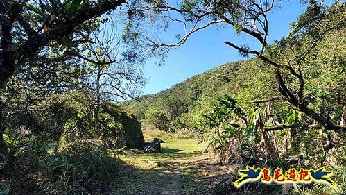 貢寮車站-大嶺古道-大石壁坑山-龍字碑-五酒桶山去回 (58).jpg